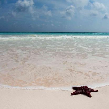 Bahamas: Harbour Island