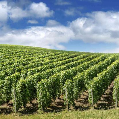 Franche-Comté & Champagne-Ardenne