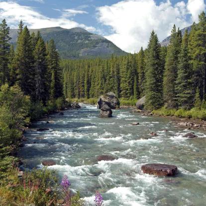 Vancouver (British Columbia)