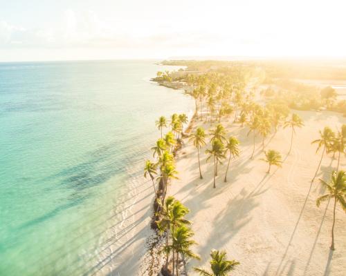 Strand, Palmen Dominikanische Republik