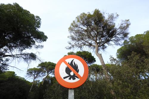 Feuer-Verbotsschild im Wald Feuer-Verbotsschild im Wald