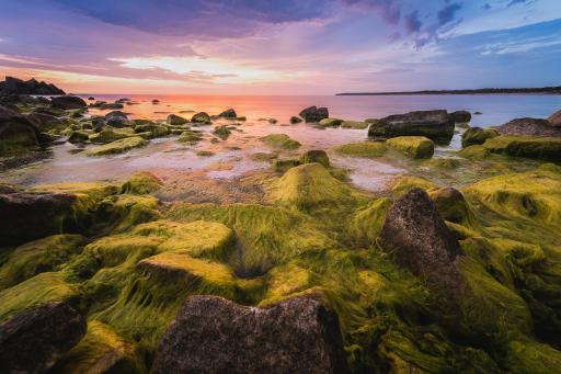 Klaipeda Meer, Küste, Sonnenuntergang Klaipeda