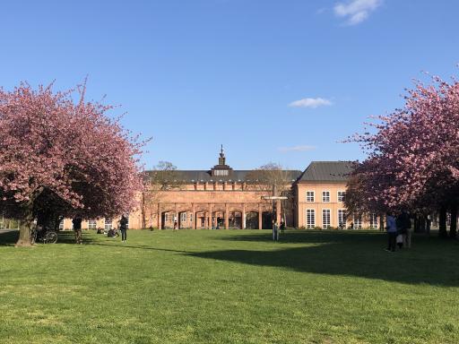 Grassi Museum Leipzig
