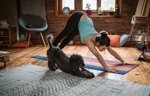 Ayurveda, Yoga, Hund, zuhause, Wohnzimmer, Sport