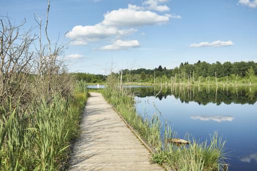 Villingen-Schwenningen