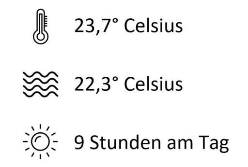 Klima Gran Canaria.JPG