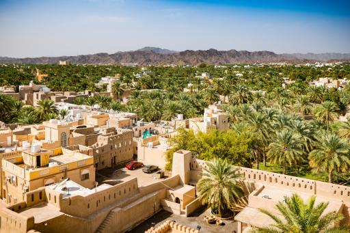 Stadt, Oase, Palmen Nizwa