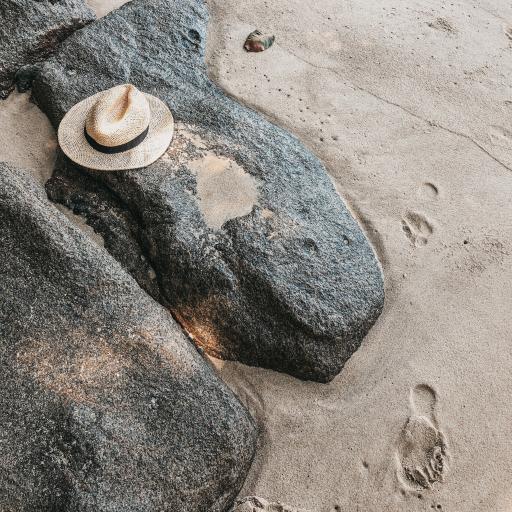 Seychellen-Strand-Sonnenhut_LVO