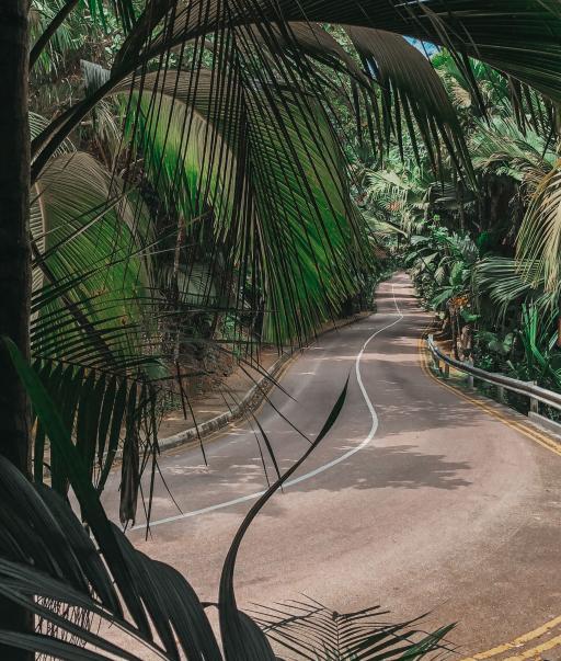 Seychellen-Praslin Nationalpark_LVO.JPG