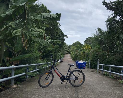 Seychellen-La Digue-Fahrrad_LVO