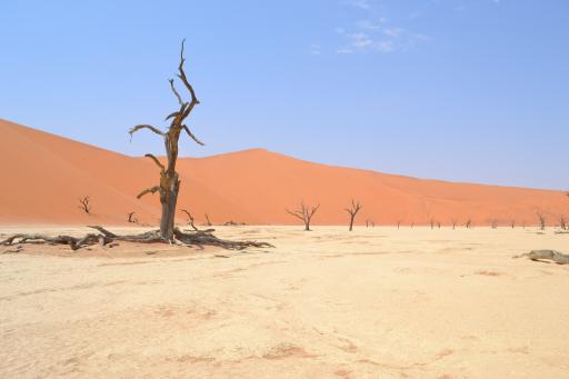 Sossusvlei Namibia