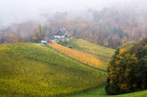 Südsteirische Weinstraße Steiermark