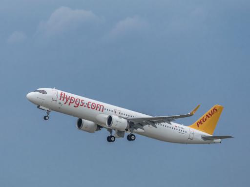 Pegasus Airlines Flugzeug
