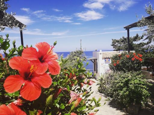 Die Marettimo Residence