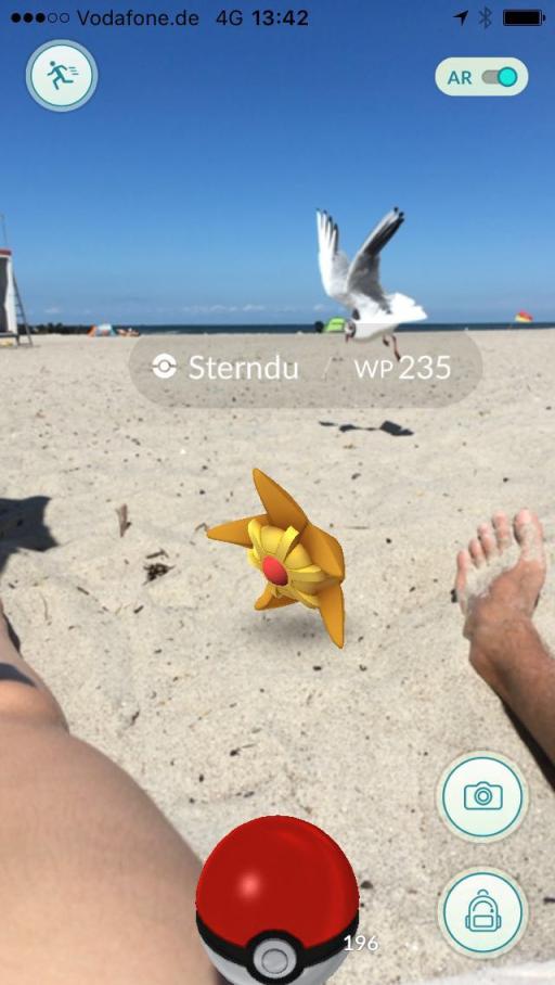 Pokémon Sterndu am Strand