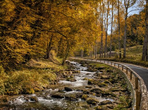 Straße durch Herbstlandschaft