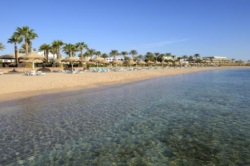 Sharks Bay (Sharm El Sheikh) Sharks Bay
