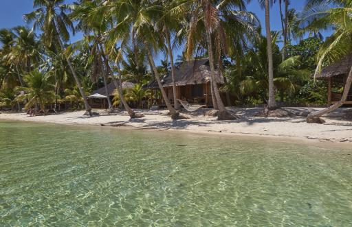Insel Siquijor Palme, Meer, Strand Insel Siquijor