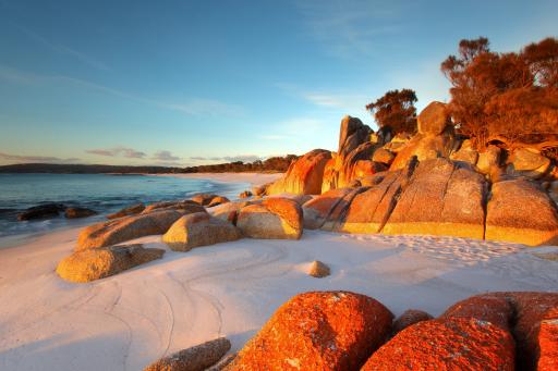 Bay of Fires - Tasmanien Strand und Felsformationen an der Bay of Fires in Tasmanien am Abend.
