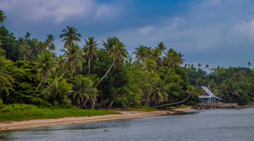 Palau Strand, Palmen, Meer Palau