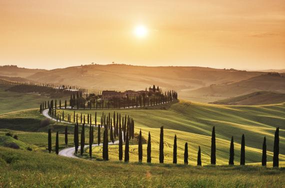 Toskana Geschwungene Straße gesäumt von Zypressen, die zu einem Gutshof in der toskanischen Landschaft führt, beleuchtet von der warmen Abendsonne.