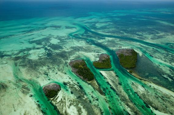 Meer, Küste Key West