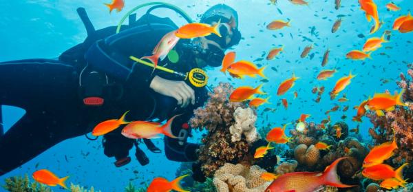 Themenwelt Tauchurlaub: Emotion Background