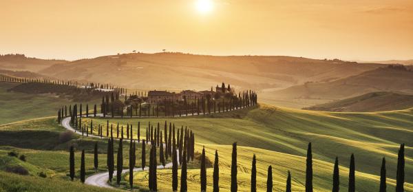Geschwungene Straße gesäumt von Zypressen, die zu einem Gutshof in der toskanischen Landschaft führt, beleuchtet von der warmen Abendsonne.