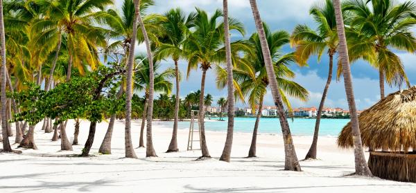 Dominikanische Republik Palmenstrand in der Dominikanischen Republik mit Strandbar.