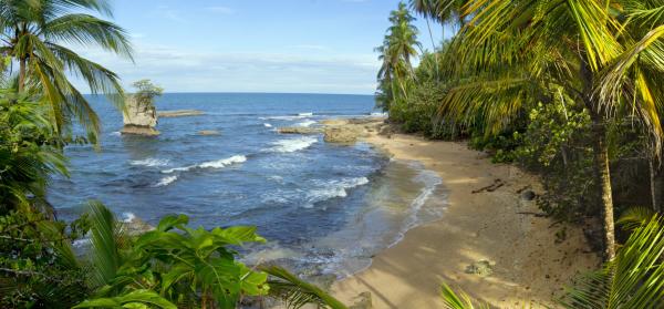 Playa de Manzillo Costa Rica