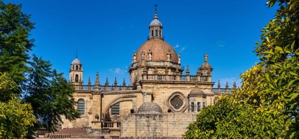 Kathedrale von Jerez de la Frontera, mit beeindruckender Kuppel, Glockenturm und barocken Verzierungen, umgeben von grünen Bäumen vor blauem Himmel.
