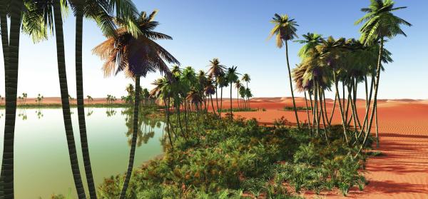 Oase, Wüste Marokko