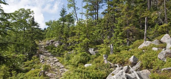 Spindler Mühle (Spindleruv Mlyn)