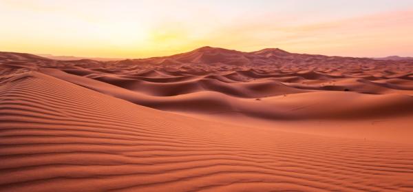 Sahara - Marokko Sahara Marokko