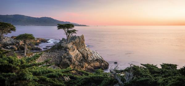 17-Miles-Drive, Lone Cypress Kalifornien