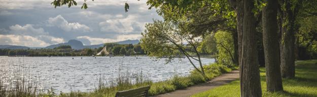 Bank, Park, See Radolfzell Am Bodensee