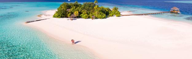 Strand, Insel, Meer, Palmen Malediven
