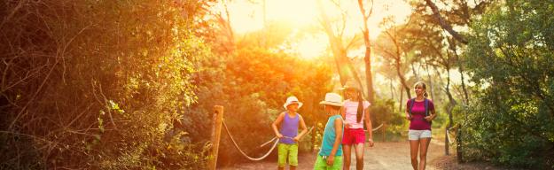 Kinder, Ausflug, Wald Mallorca