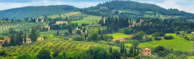 Italien: Weinberge - Emotion