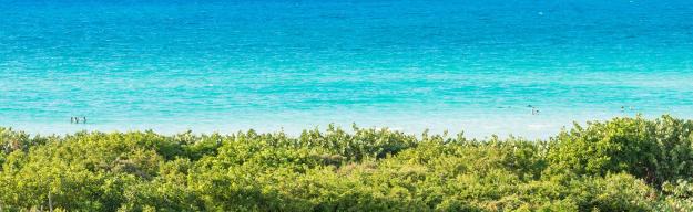 Kuba: Strand - Emotion