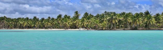 Dominikanische Republik Strand Palme Emotion