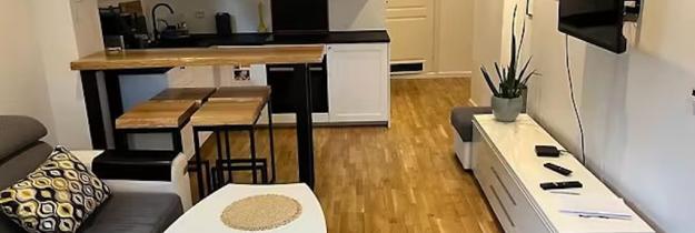 Wohnraum des Apartament Ratvika Wohnraum des Apartament Ratvika