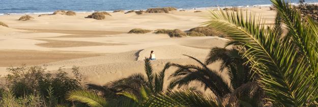 Dünenlandschaft Dünenlandschaft