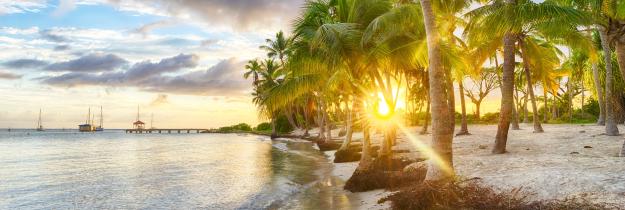 Strand Anse Chamapgne Saint Francois