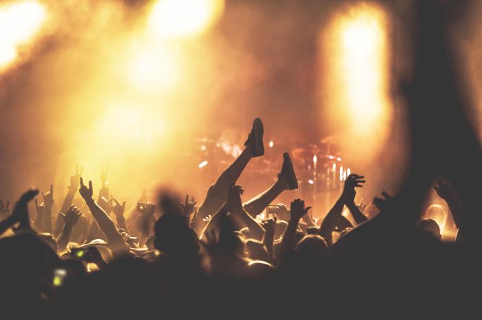 Fans bei einem Konzert Fans bei einem Konzert