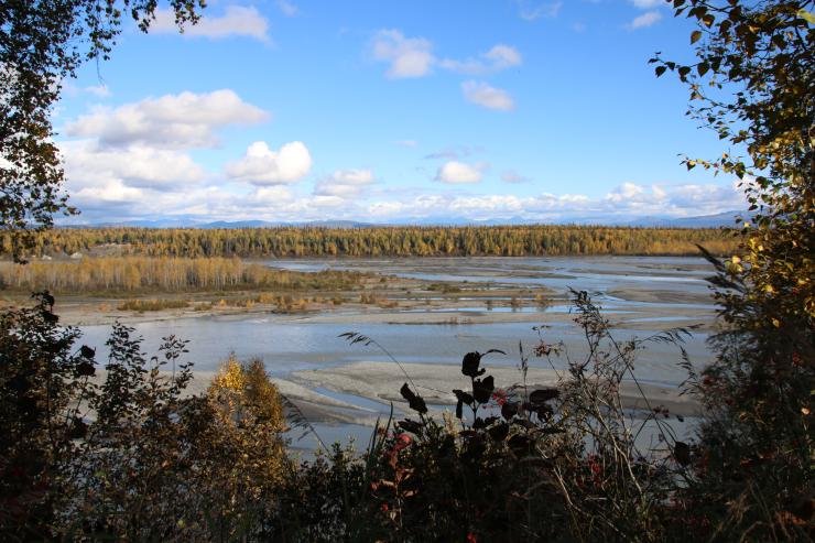 Flusslandschaft bei Abendlicht