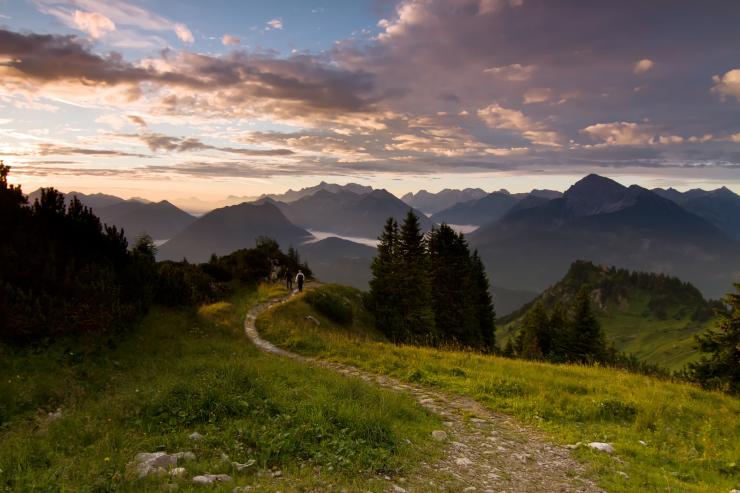 Bayerischer Wald bei Sonnenuntergang