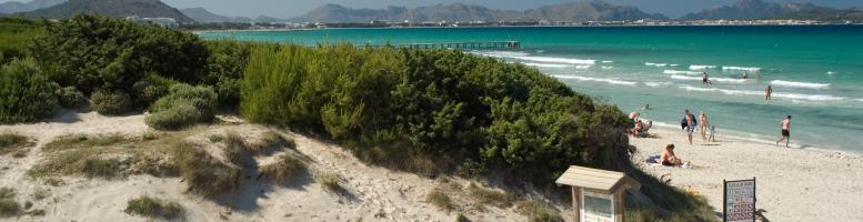 Platja de Muro Playa De Muro