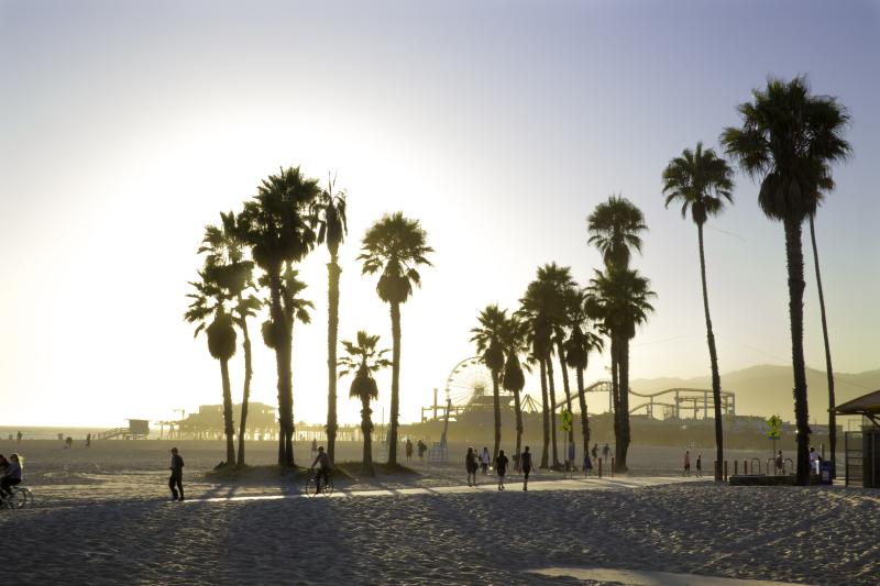 Venice Beach Los Angeles
