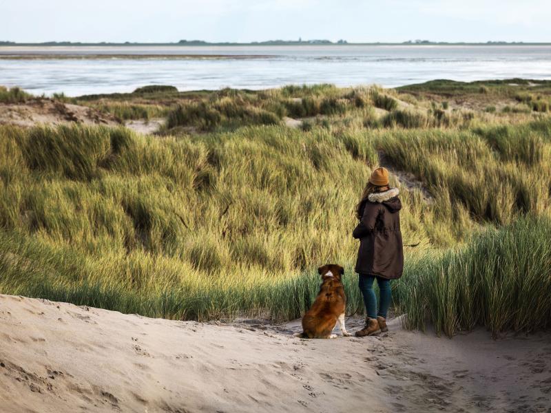 Frau und Hund in Dünen